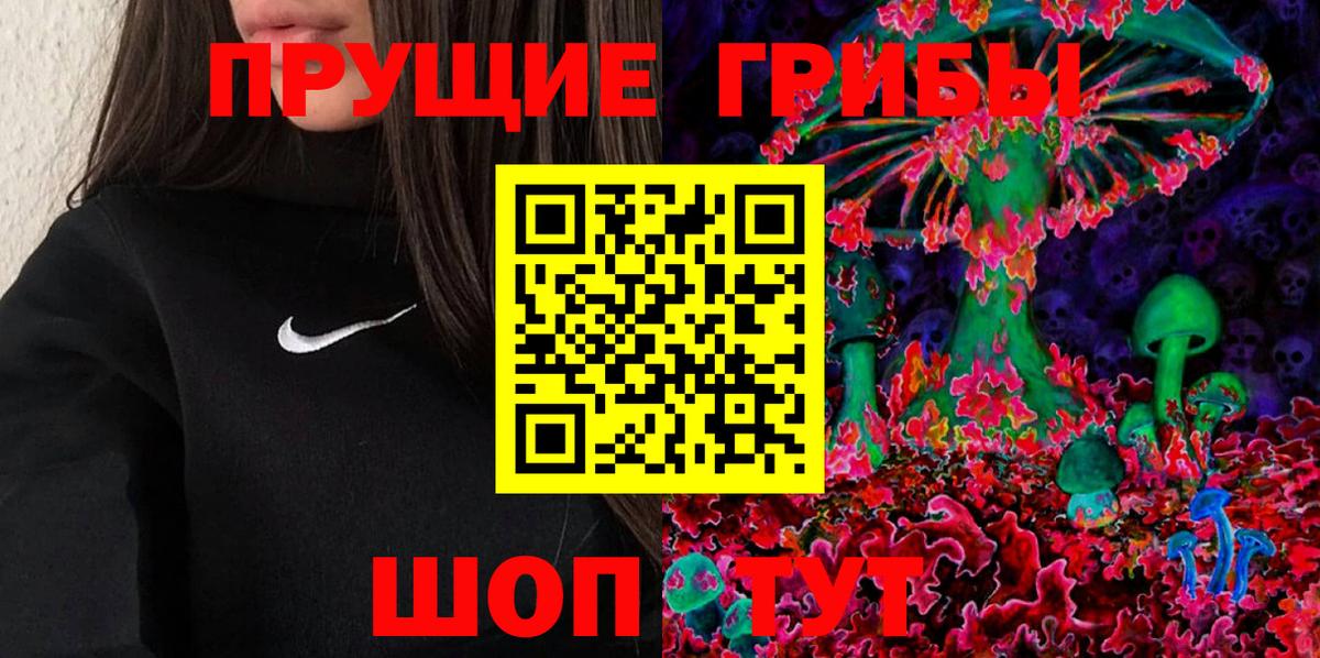 Чита  Псилоцибиновые грибы мицелий  Вход с VPN  Галлюциногенные грибы GOLDEN TEACHER 